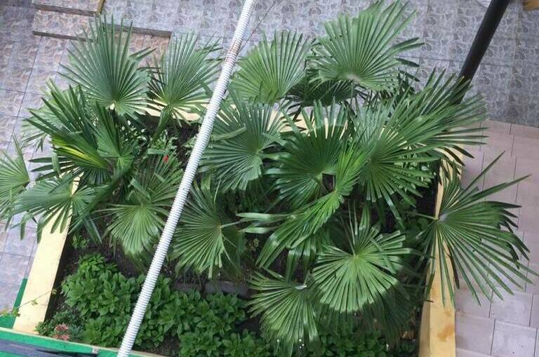 Изображение Изображение гостиницы &quot;Гостевой дом «Аракс»&quot; #9 #7