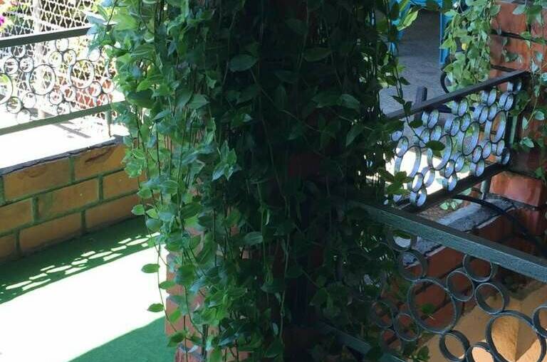 Изображение Изображение гостиницы &quot;Гостевой дом «Аракс»&quot; #10 #8