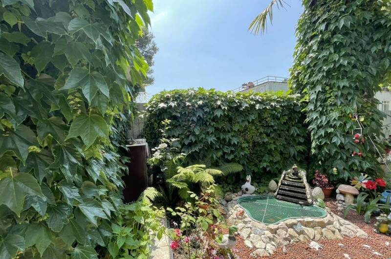 Изображение Изображение гостиницы &quot;Частный сектор «Маргарита»&quot; #3 #1