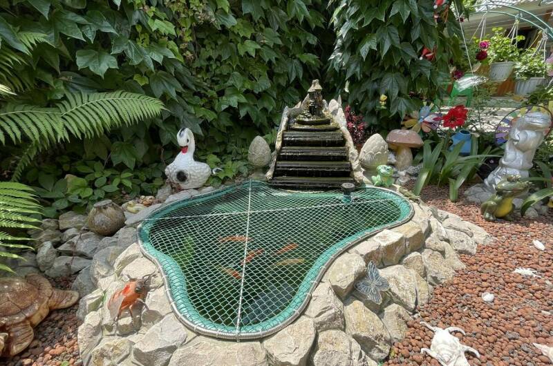 Изображение Изображение гостиницы &quot;Частный сектор «Маргарита»&quot; #9 #7