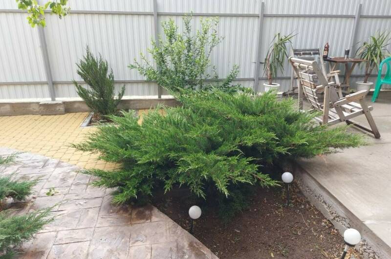 Изображение Изображение гостиницы &quot;Гостевой дом «Центральный»&quot; #9 #7