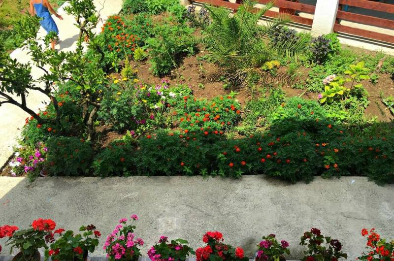 Изображение Изображение гостиницы &quot;Гостевой дом «Южный»&quot; #5 #3