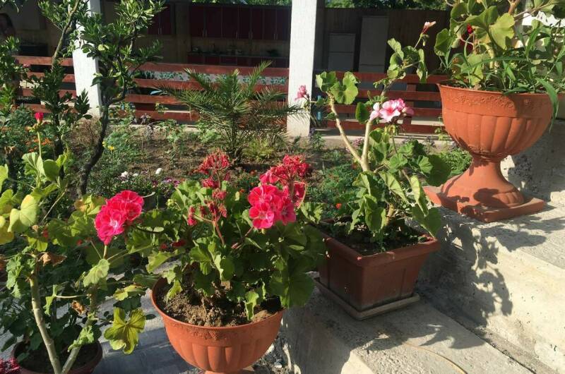 Изображение Изображение гостиницы &quot;Гостевой дом «Южный»&quot; #8 #6