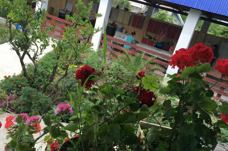 Изображение Изображение гостиницы &quot;Гостевой дом «Южный»&quot; #10 #8