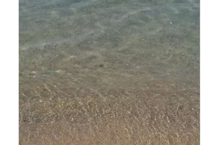 Изображение Изображение гостиницы &quot;Апарт-отель «Жасмин»&quot; #6 #4