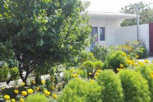 Изображение отеля / гостиницы "Гостевой дом «Ромашка»"