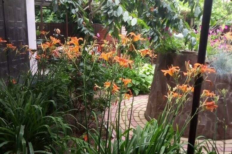 Изображение Изображение гостиницы &quot;Гостевой дом «Алина»&quot; #9 #7