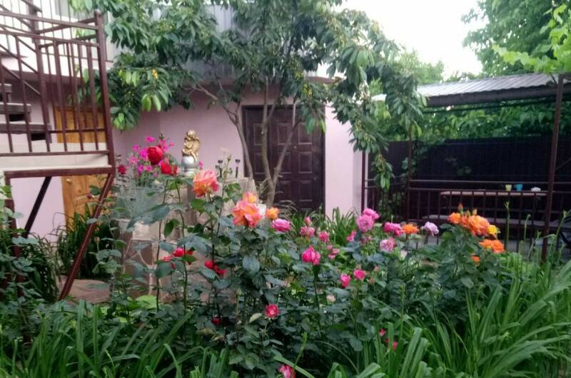 Изображение Изображение гостиницы &quot;Гостевой дом «Алина»&quot; #11 #9