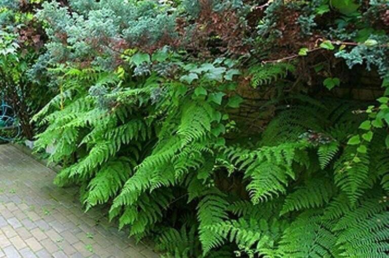 Изображение Изображение гостиницы &quot;Коттедж «Отдых у Марины»&quot; #11 #9