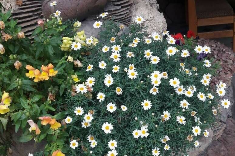 Изображение Изображение гостиницы &quot;Гостевой дом «Тихая гавань»&quot; #10 #8