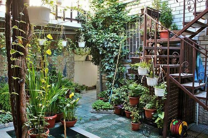 Изображение Изображение гостиницы &quot;Гостевой дом «На Черноморской»&quot; #10 #8