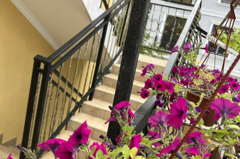 Изображение Изображение гостиницы &quot;Guest house «Виктория»&quot; #4 #2