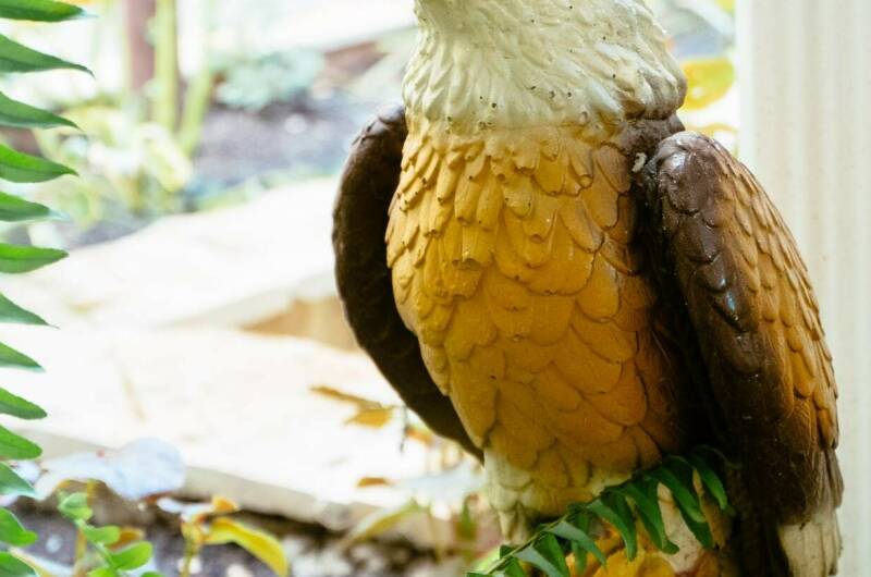 Изображение Изображение гостиницы &quot;Гостевой дом «Sunlife»&quot; #9 #7