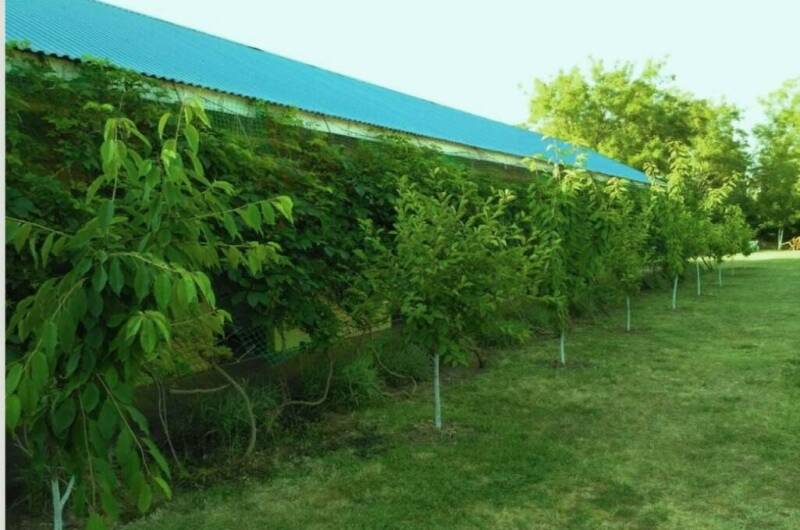 Изображение Изображение гостиницы &quot;Гостевой дом «Азов Холидей»&quot; #6 #4