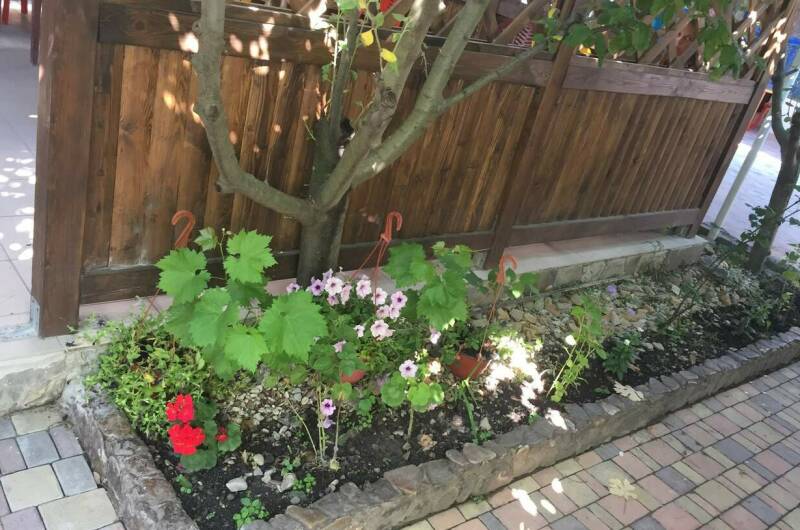 Изображение Изображение гостиницы &quot;Гостевой дом «У Ивана»&quot; #5 #3