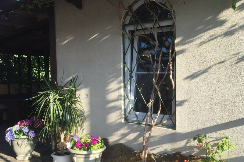 Изображение Изображение гостиницы &quot;Парк-отель «Вилла Роз»&quot; #3 #1