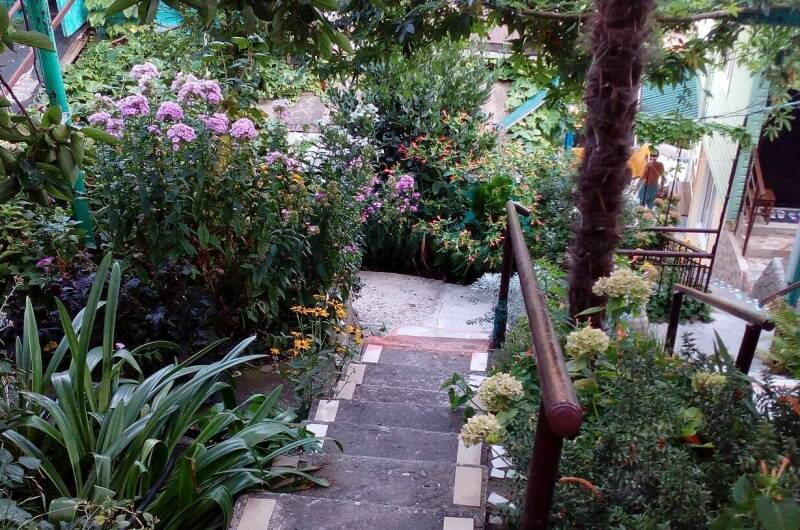 Изображение Изображение гостиницы &quot;Гостевой дом «Агава»&quot; #6 #4