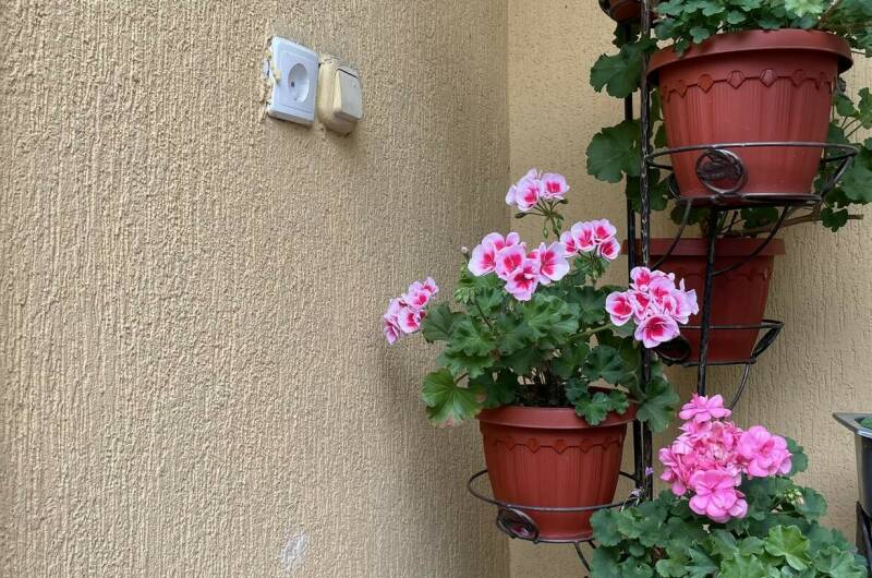 Изображение Изображение гостиницы &quot;Гостевой дом «Жемчужина»&quot; #3 #1