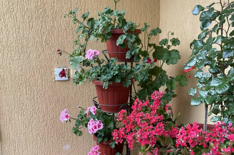 Изображение Изображение гостиницы &quot;Гостевой дом «Жемчужина»&quot; #10 #8