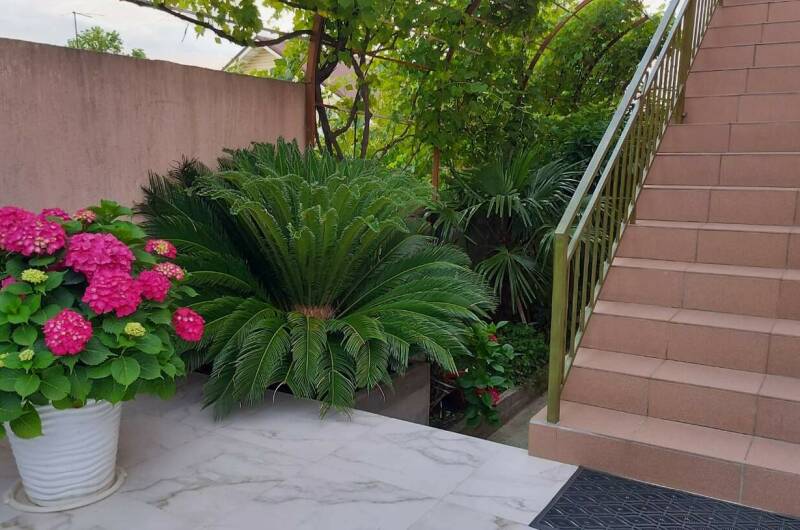 Изображение Изображение гостиницы &quot;Гостевой дом «Черноморская жемчужина»&quot; #8 #6