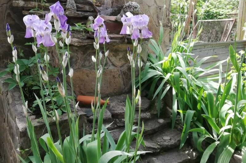 Изображение Изображение квартиры &quot;Часть дома под ключ&quot; #4 #2