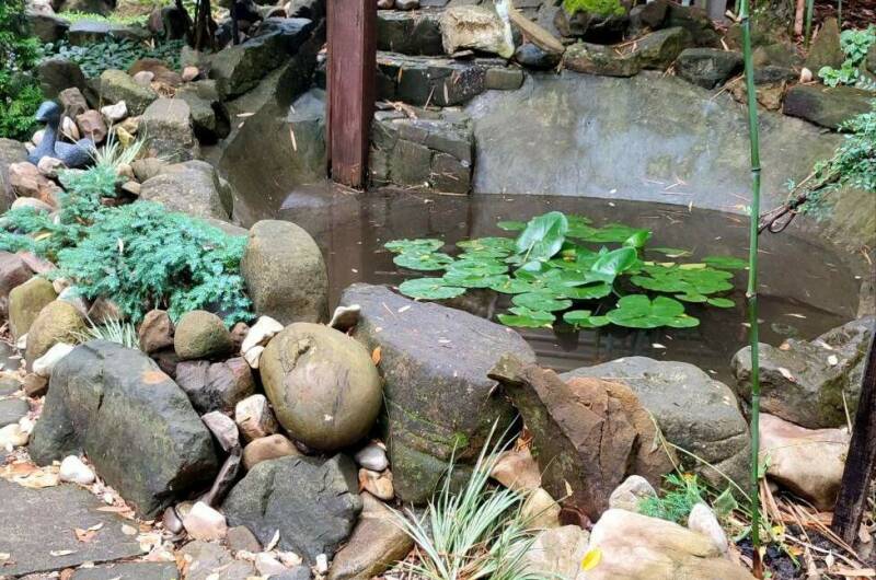 Изображение Изображение гостиницы &quot;Гостевой дом «Зелёный остров»&quot; #4 #2