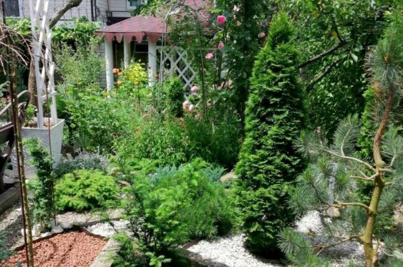 Изображение Изображение гостиницы &quot;Гостевой дом «Зелёный остров»&quot; #10 #8