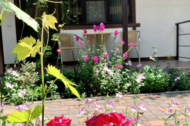 Изображение Изображение гостиницы &quot;Гостевой дом «Sadorini»&quot; #4 #2