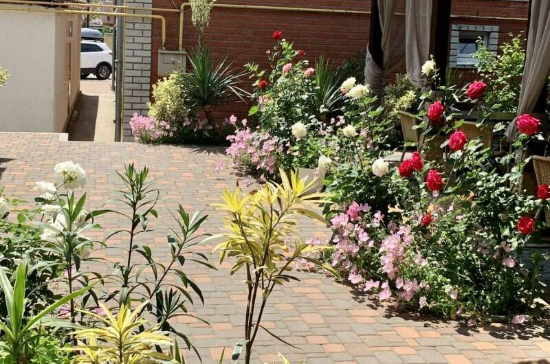 Изображение Изображение гостиницы &quot;Гостевой дом «Sadorini»&quot; #5 #3