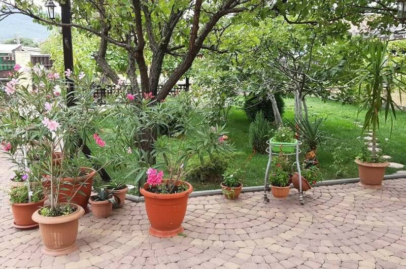 Изображение Изображение гостиницы &quot;Гостевой дом «Sadorini»&quot; #6 #4