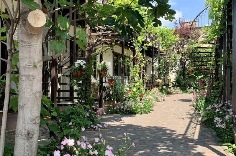 Изображение Изображение гостиницы &quot;Гостевой дом «Sadorini»&quot; #8 #6