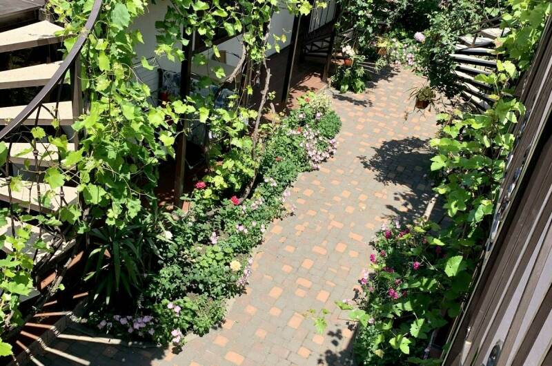 Изображение Изображение гостиницы &quot;Гостевой дом «Sadorini»&quot; #10 #8