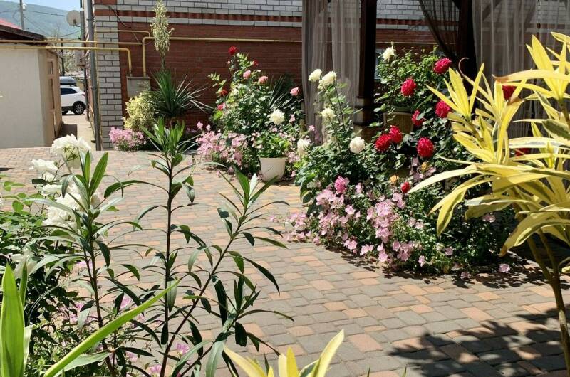 Изображение Изображение гостиницы &quot;Гостевой дом «Sadorini»&quot; #11 #9