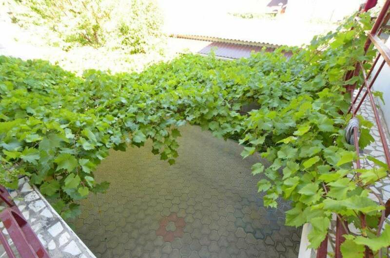 Изображение Изображение гостиницы &quot;Гостевой дом «Амелия»&quot; #9 #7