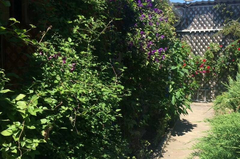 Изображение Изображение гостиницы &quot;Частный дом на Новоселов&quot; #7 #5