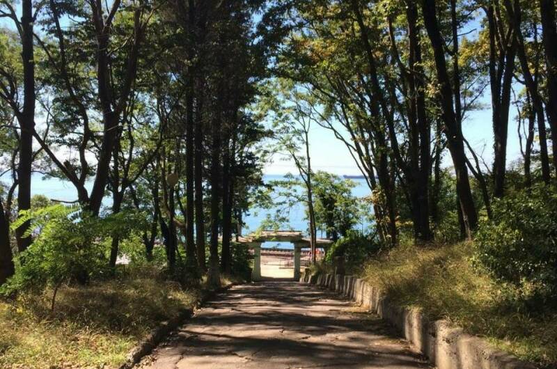 Изображение Изображение гостиницы &quot;Гостевой дом «Галина-Чайка»&quot; #3 #1