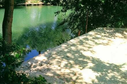 Изображение Изображение гостиницы &quot;Гостевой дом «Лукоморье у реки»&quot; #4 #2