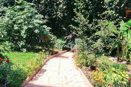 Изображение Изображение гостиницы &quot;Гостевой дом «Лукоморье у реки»&quot; #5 #3