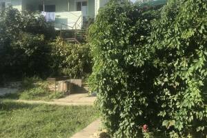 Изображение отеля / гостиницы "Частный двор на пер. Михайловский"