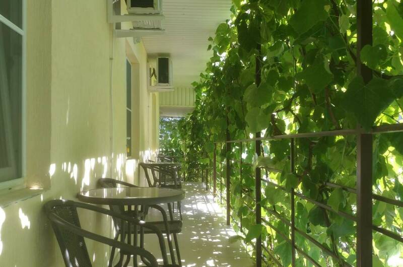 Изображение гостиницы "Гостевой дом «На Полевой»" #1