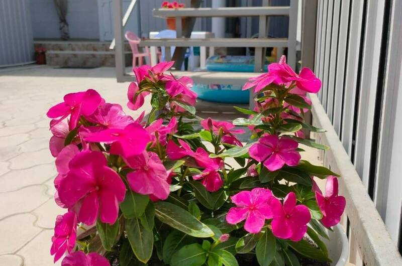 Изображение Изображение гостиницы &quot;Гостевой дом «ТаняСаша»&quot; #4 #2