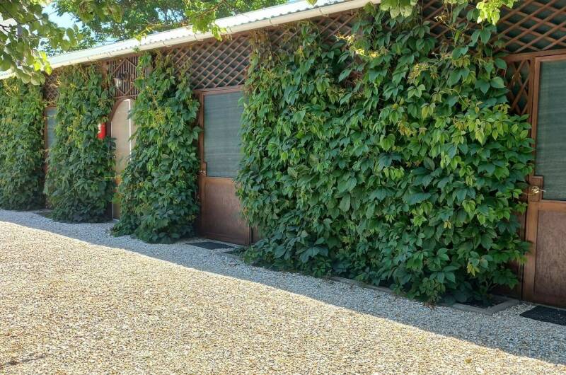 Изображение гостиницы "Частный сектор «Комфортный отдых»" #1