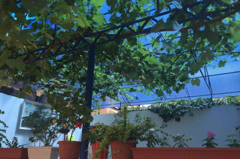 Изображение Изображение гостиницы &quot;Гостевой дом «На Комарова 17»&quot; #6 #4