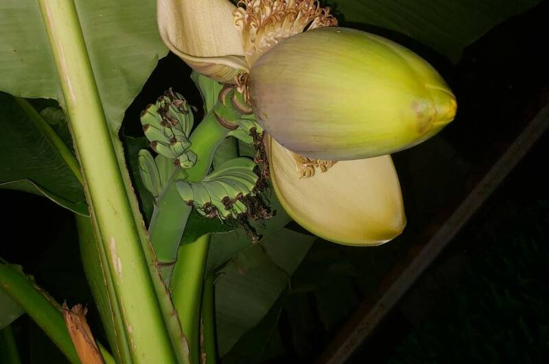 Изображение Изображение гостиницы &quot;Гостевой дом «Прайд»&quot; #5 #3