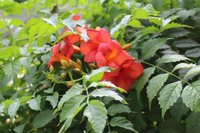 Изображение Изображение гостиницы &quot;Гостевой дом «У Реки»&quot; #5 #3