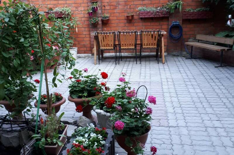 Изображение Изображение гостиницы &quot;Частный дом «Южный»&quot; #4 #2