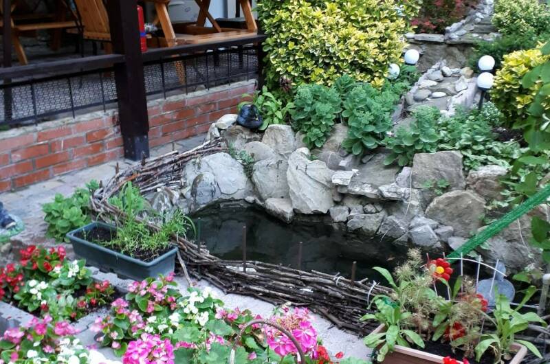 Изображение Изображение гостиницы &quot;Частный дом «Южный»&quot; #8 #6