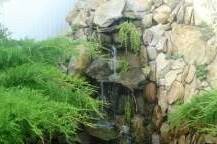 Изображение Изображение гостиницы &quot;Частный дом «Солнышко»&quot; #6 #4