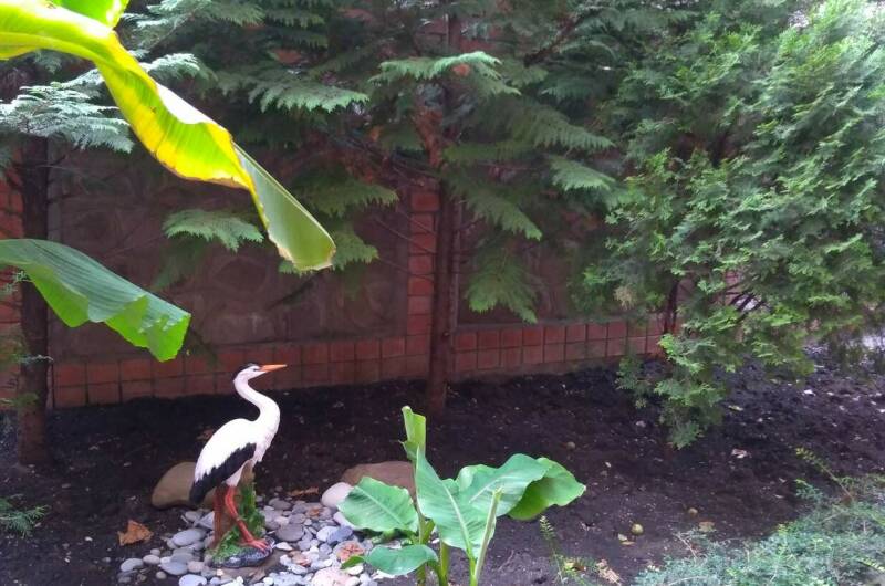 Изображение Изображение гостиницы &quot;Гостевой дом «Alina»&quot; #8 #6