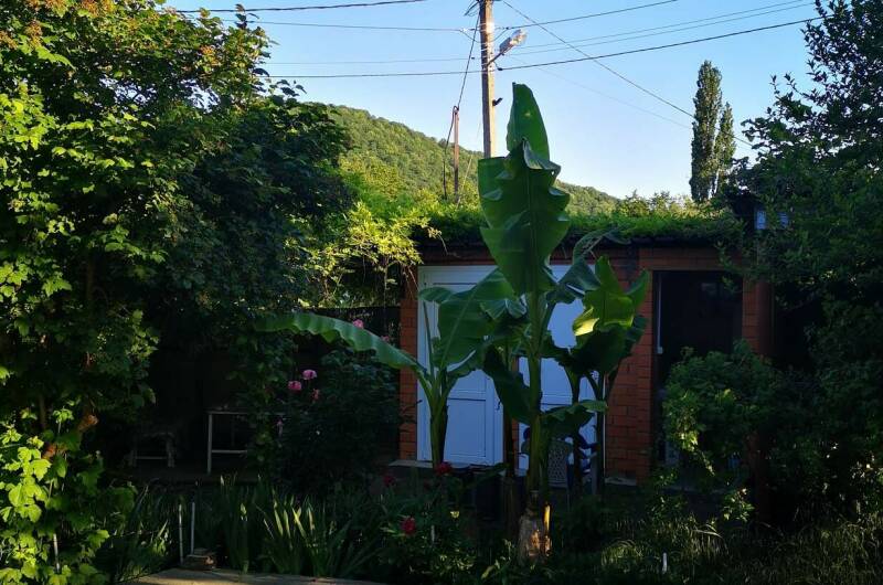 Изображение Изображение гостиницы &quot;Гостевой дом «Вероника»&quot; #8 #6